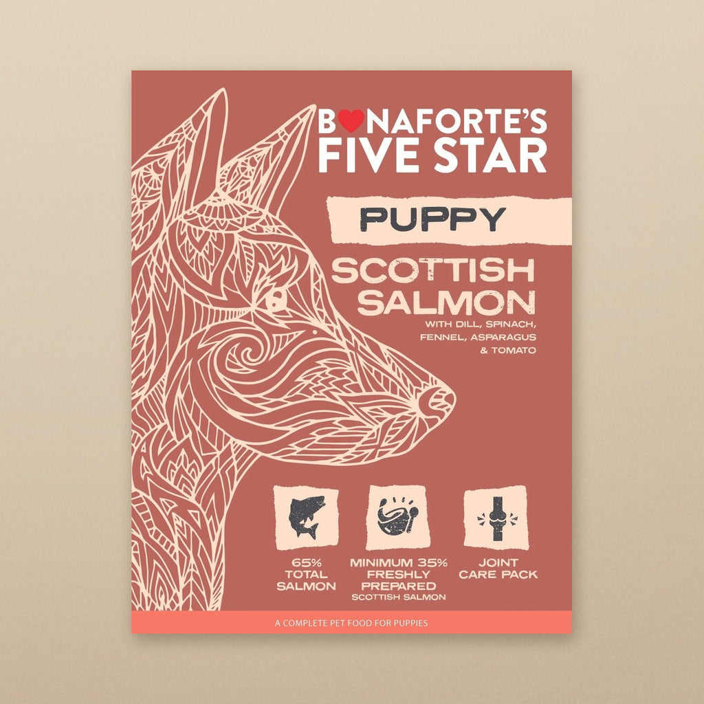Five Star Puppy Scottish Salmon bag