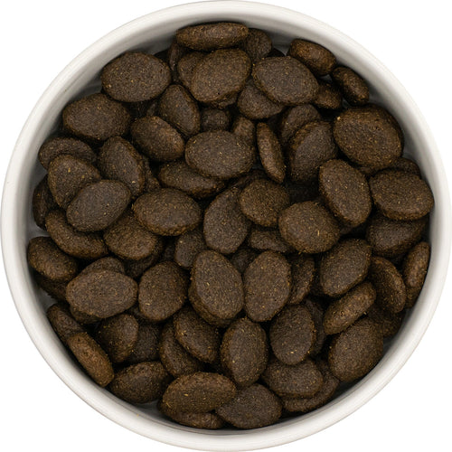 Bonaforte Kennel Complete puppy kibble